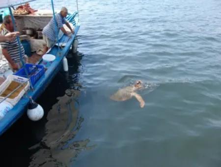 Dalyan Caretta Caretta Tekne Turu